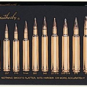 WEATHERBY LUCITE CARTRIDGE DISPLAY